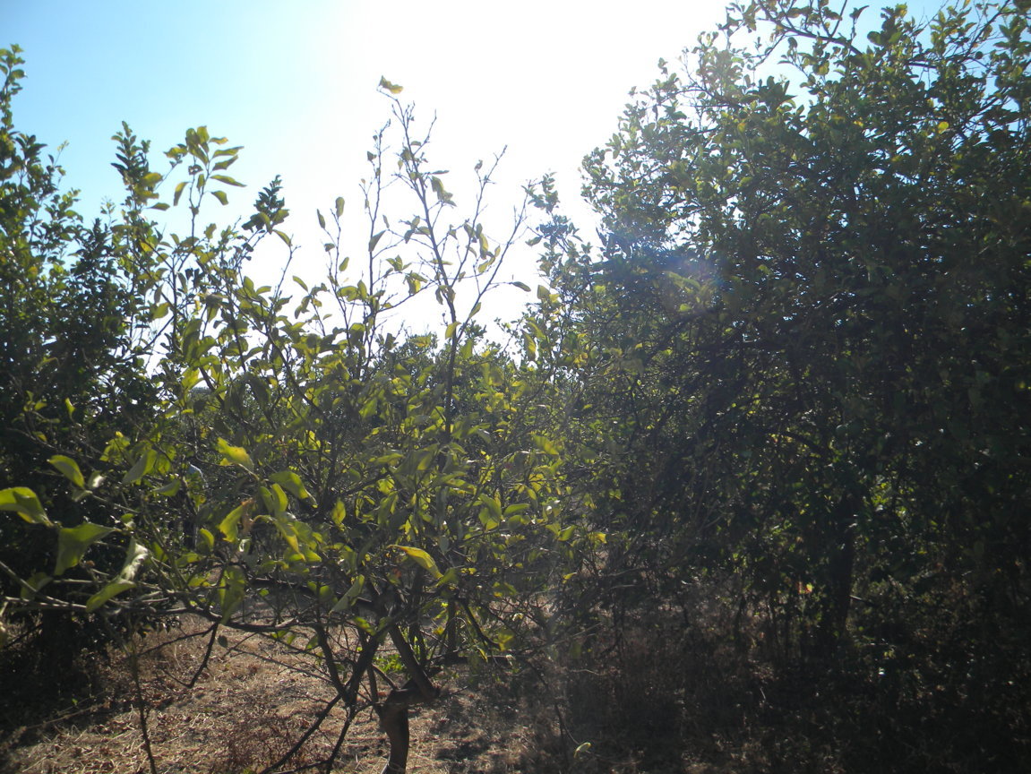 DSCN8109 .JPG